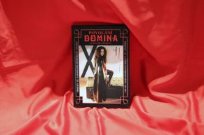 Erotic Book Recommendation – *The Dominatrix’s Calling* by Lenka Blažejová