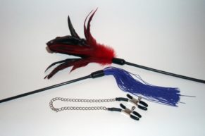 What to Use for Spanking – Testing Whips, Feather Ticklers, and Clamps